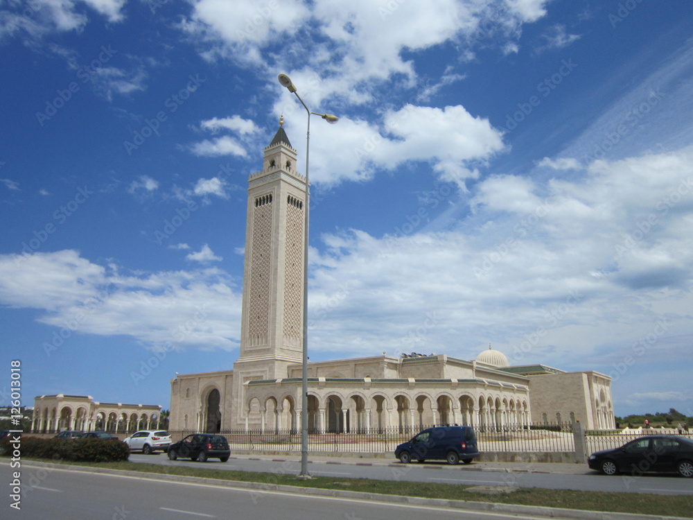 пейзаж с видом на мусульманскую мечеть в Тунисе