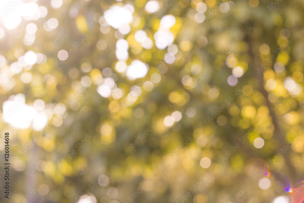Beautiful autumn background and sunlight bokeh Beautiful autumn background and sunlight bokeh