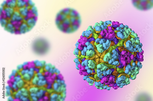 Mayaro virus 3D illustration. Mosquitoborne virus from Alphavirus genus, Togaviridae family. Emerging virus which causes Mayaro virus disease photo