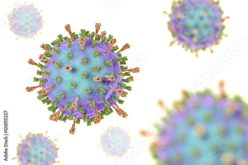 Mumps virus. 3D illustration showing structure of mumps virus with surface glycoprotein spikes heamagglutinin-neuraminidase and fusion protein photo