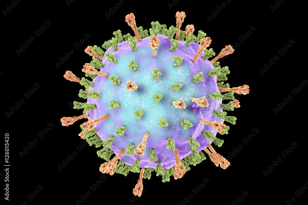 Valokuva Mumps virus