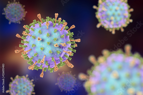 Mumps virus. 3D illustration showing structure of mumps virus with surface glycoprotein spikes heamagglutinin-neuraminidase and fusion protein photo