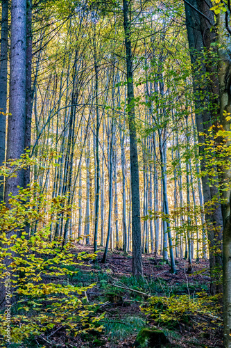 Herbst