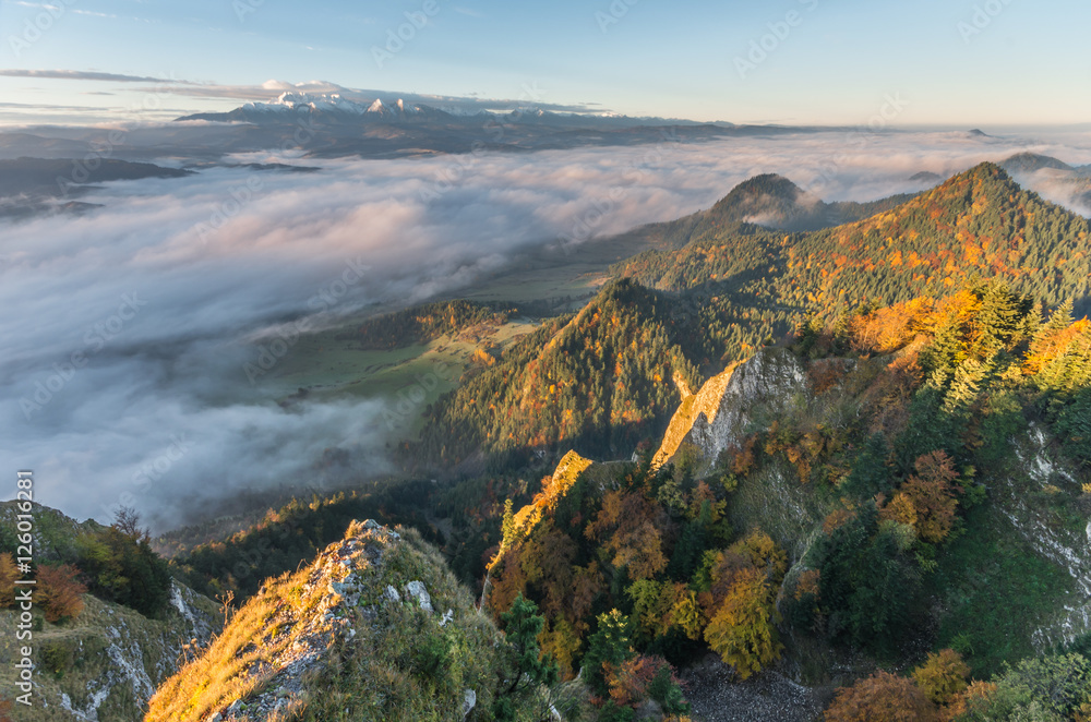 Morning sea of fog seen from Pieniny mountains, autumn, Poland