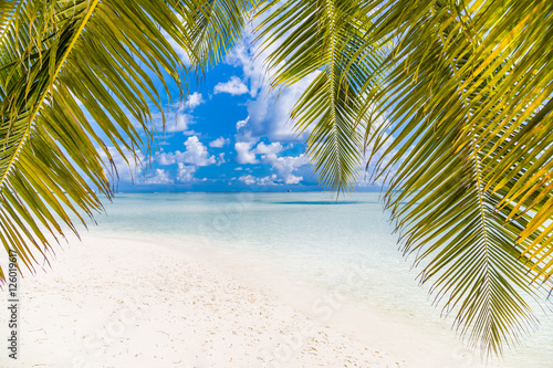 Amazing tropical summer beach landscape © icemanphotos