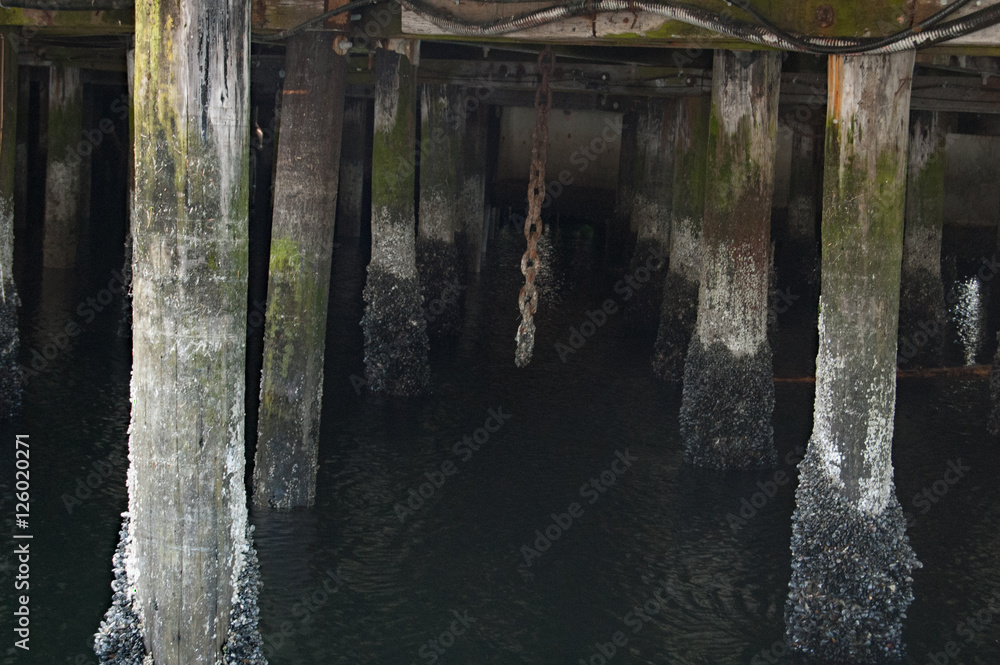 under a pier with log supports and rusty chain hanging