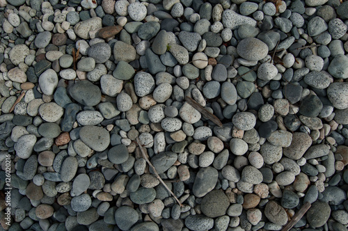 round river rock on beach with small peices of driftwood
