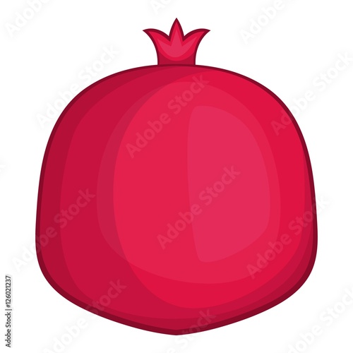 Pomegranate icon. Cartoon illustration of pomegranate vector icon for web photo