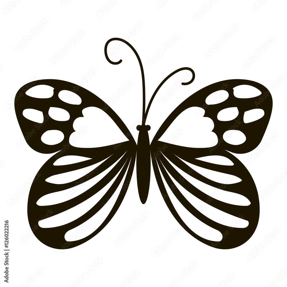 Beautiful butterfly icon. Simple illustration of beautiful butterfly vector icon for web Beautiful butterfly icon. Simple illustration of beautiful butterfly vector icon for web