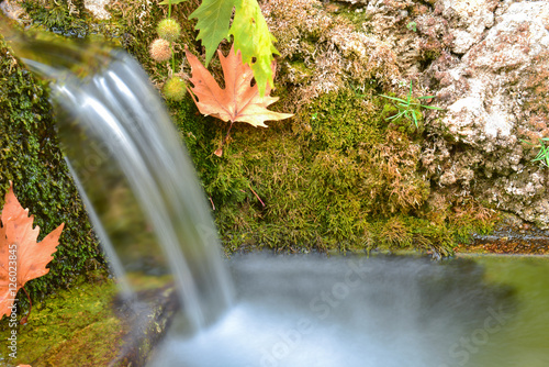 doğal kaynak suları ve sonbahar yaprakları