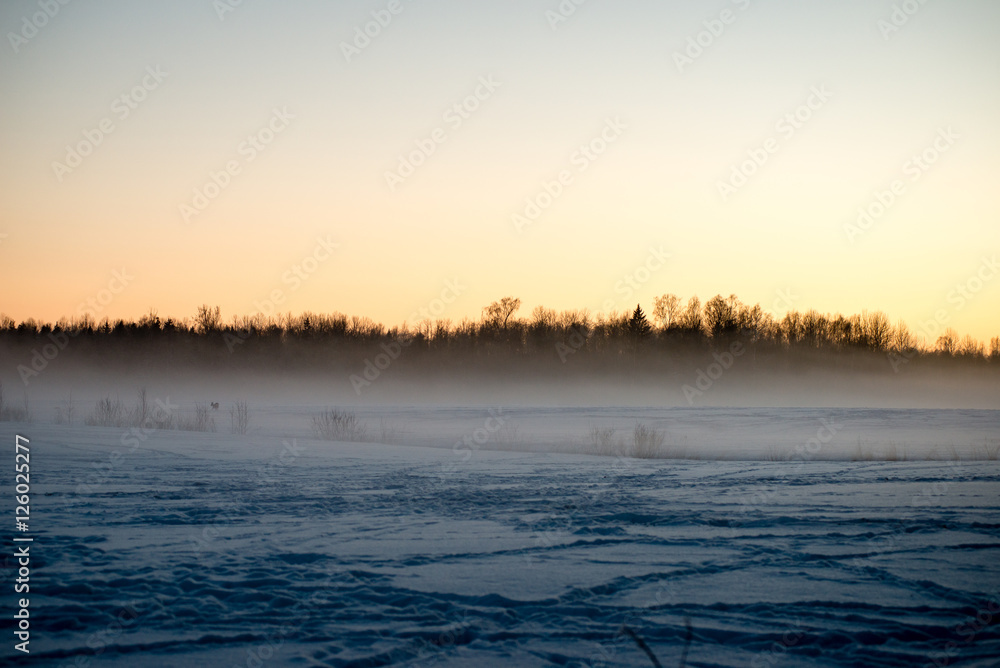 cold morning in the field in winter cold morning in the field in winter