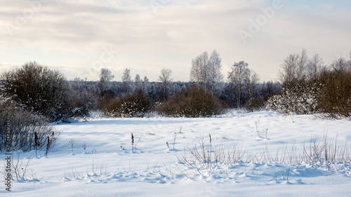 cold morning in the field in winter © Martins Vanags
