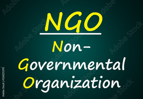 Non-Governmental Organization (NGO)