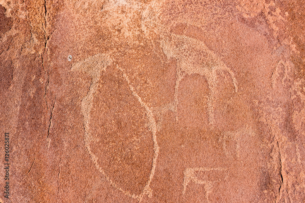 Fototapeta premium The famous prehistoric rock engravings at Twyfelfontein, tourist attraction and travel destination in Namibia, Africa.
