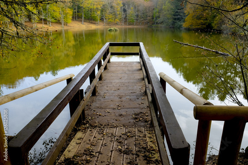 Fotografi A pier on the lake of the Umbria Forest