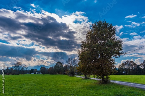 Herbstlandschaft mit Laubbäumen im Gegenlicht