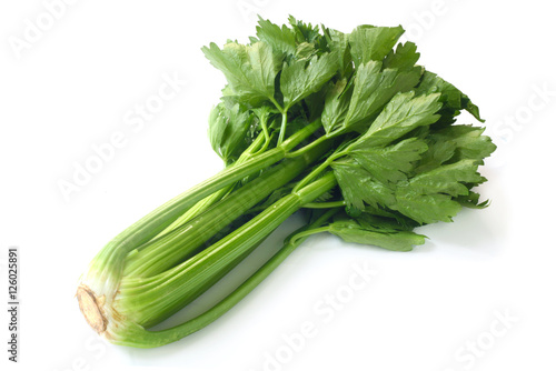Bild auf Leinwand Celery