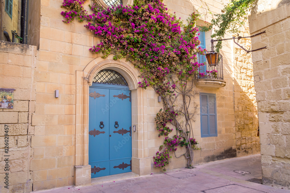 Fototapeta premium Beautiful facade with flowering plant growing up limestone wall