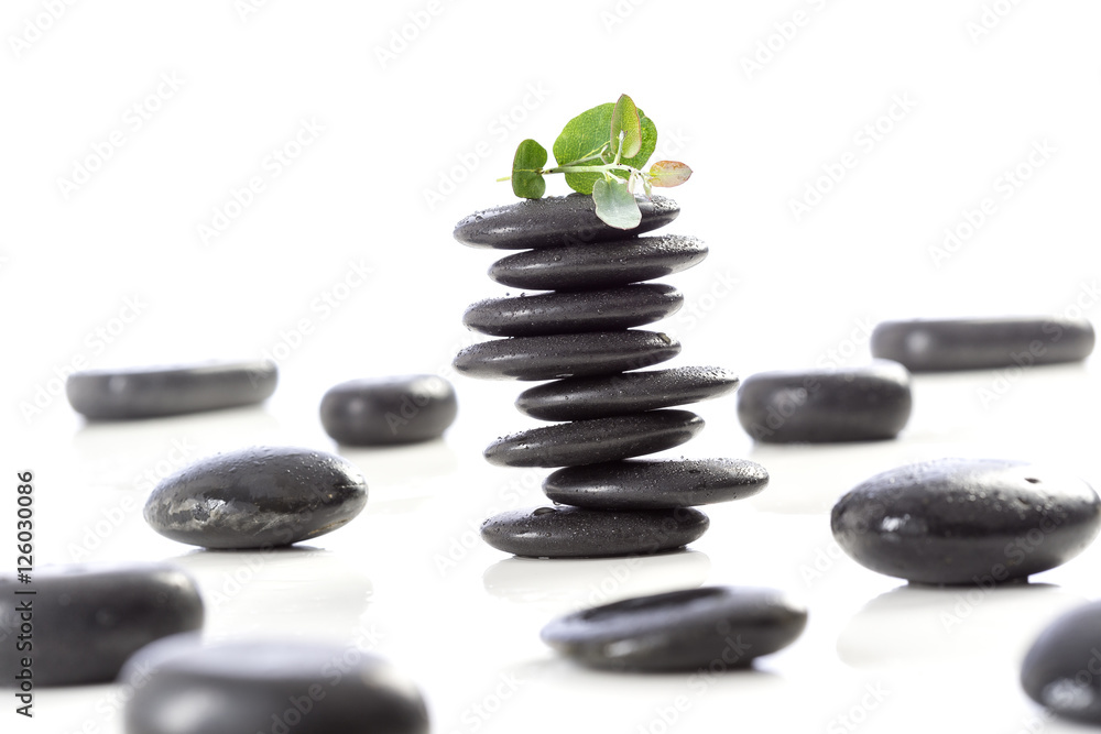 Spa stones and Eucalyptus, isolated on white