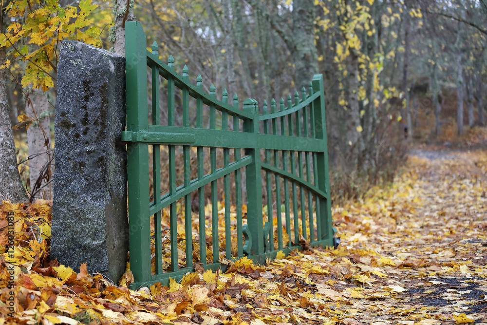 Open gate and an alley of trees and maple leafs on the ground du Open gate and an alley of trees and maple leafs on the ground du