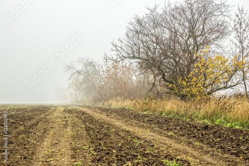 Field road on a foggy autumn day, close-up