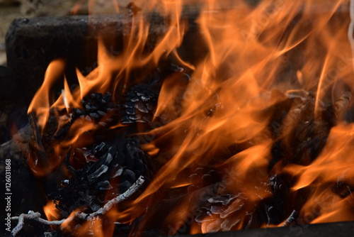 Close up on a fire with pine cones