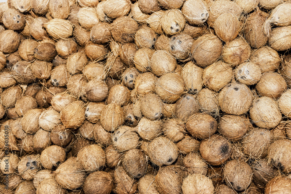 Koskosnüsse Stock Photo Adobe Stock