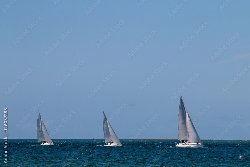 recreational sailing boats