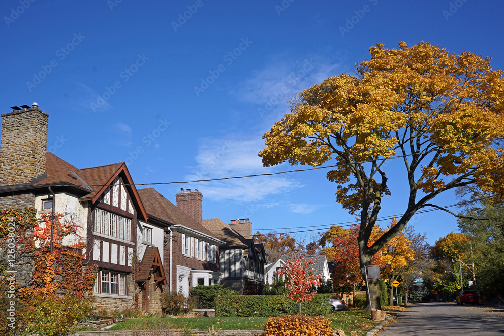 residential street with fall colors