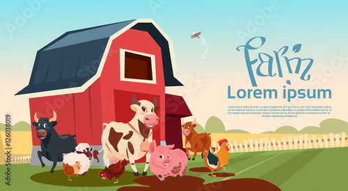 Farm Breeding Animals Farmland Background Flat Vector Illustration