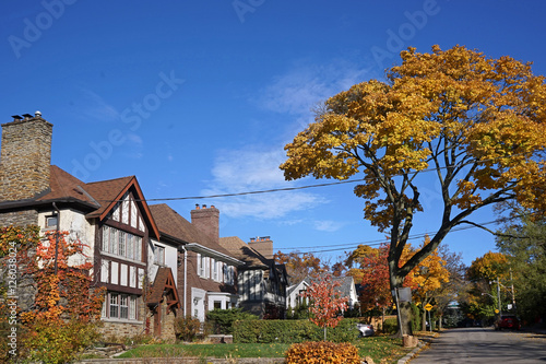 residential street with fall colors