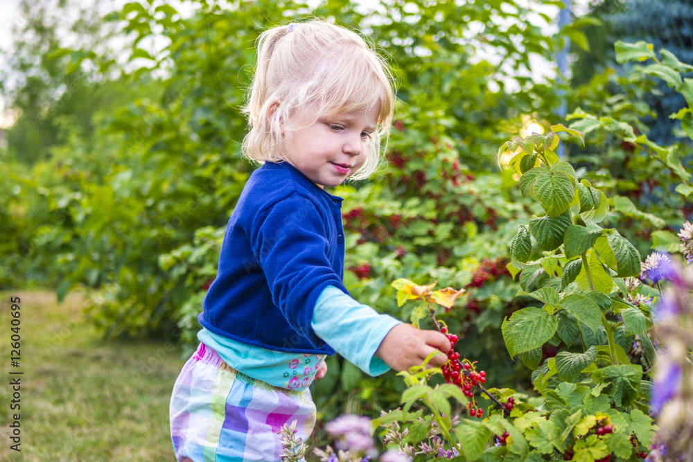 Mädchen pflückt Beeren im Garten