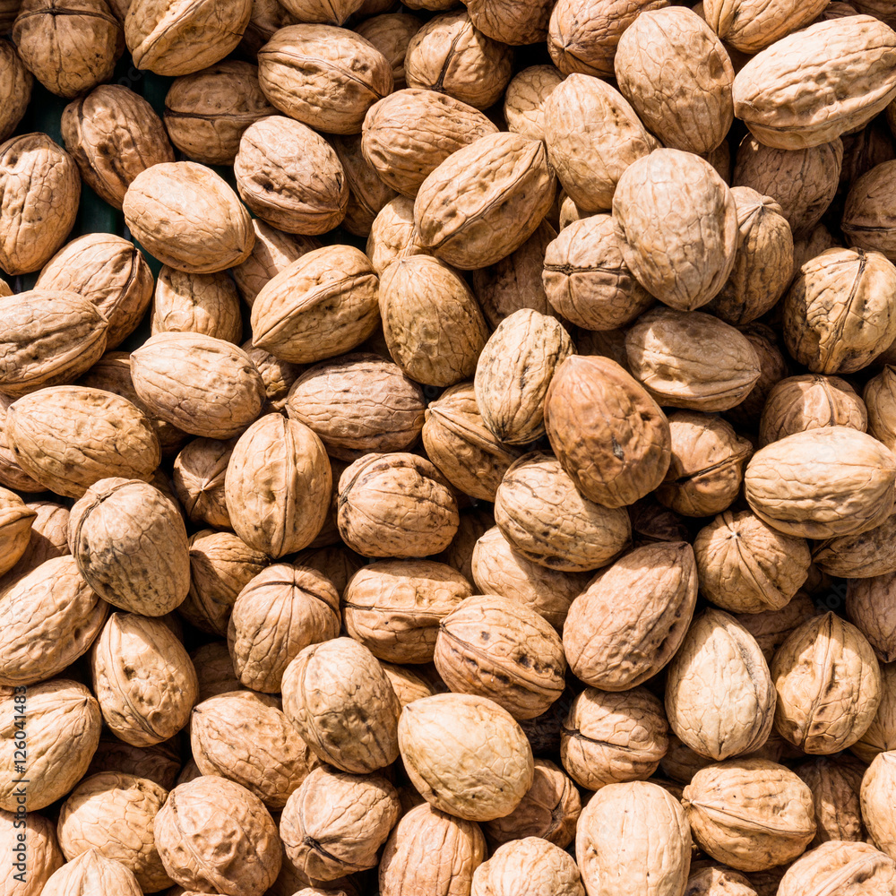Walnut background. walnut as a texture Walnut background. walnut as a texture
