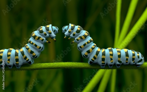 caterpillar love © TeacherX555