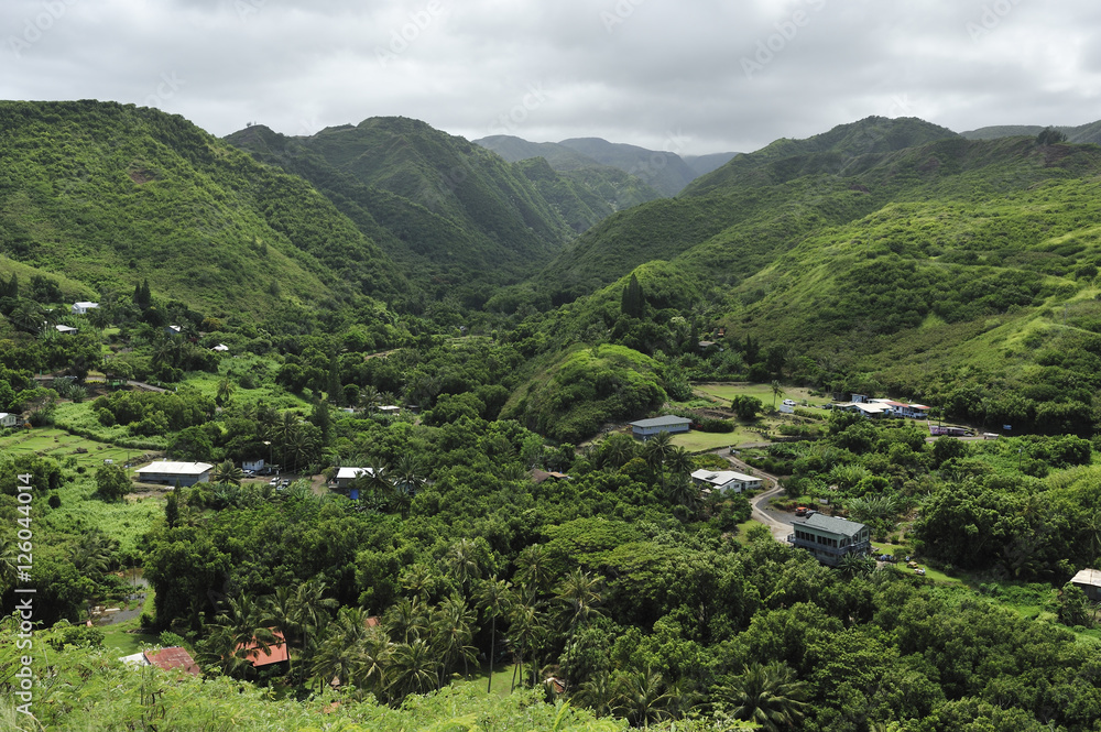 Small Maui village in a green valley, Hawaii
