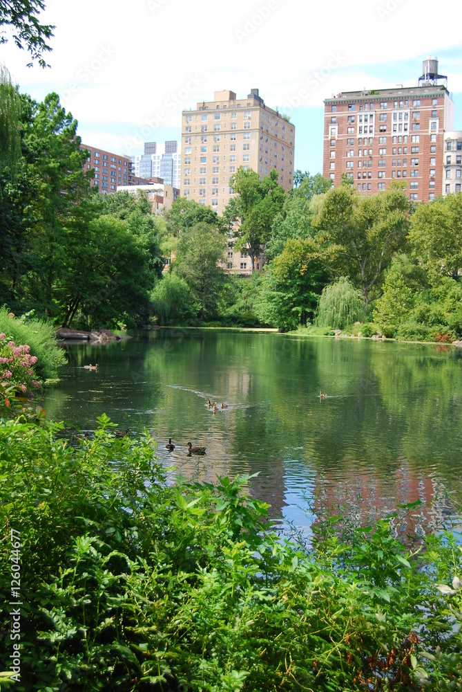 Central Park New York Landscapes