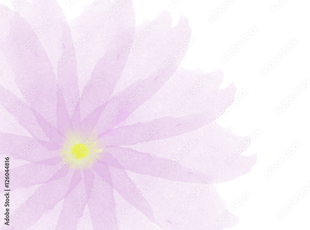 Watercolor pink flower. Summer pink flower, watercolor illustration.