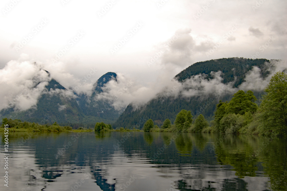 small mountains with forest and inlet forground