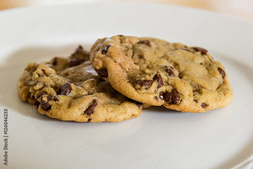 Chocolate Chip Cookies on a White Plate Chocolate Chip Cookies on a White Plate