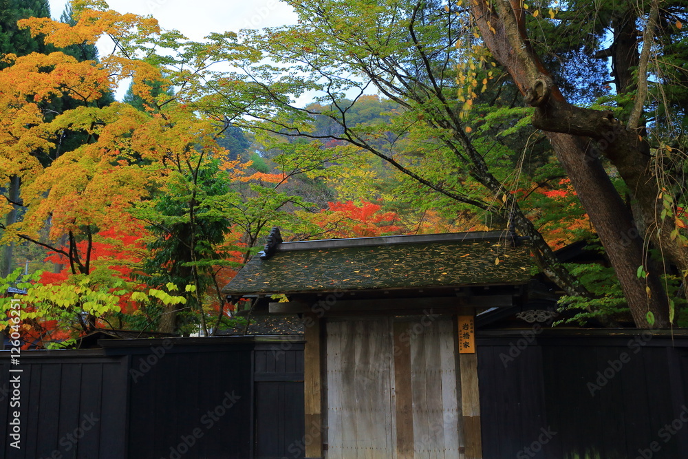 角館 紅葉の武家屋敷 角館 紅葉の武家屋敷