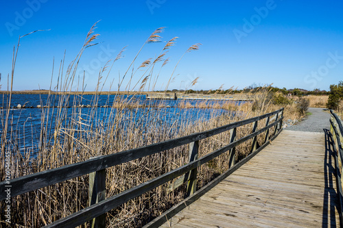 Raised walkway through marsh at Back Bay National Wildlife Refuge in Virginia Beach  Virginia.  