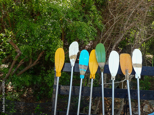 Colorful paddle board for rent on the beach