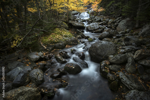 Autumn Stream