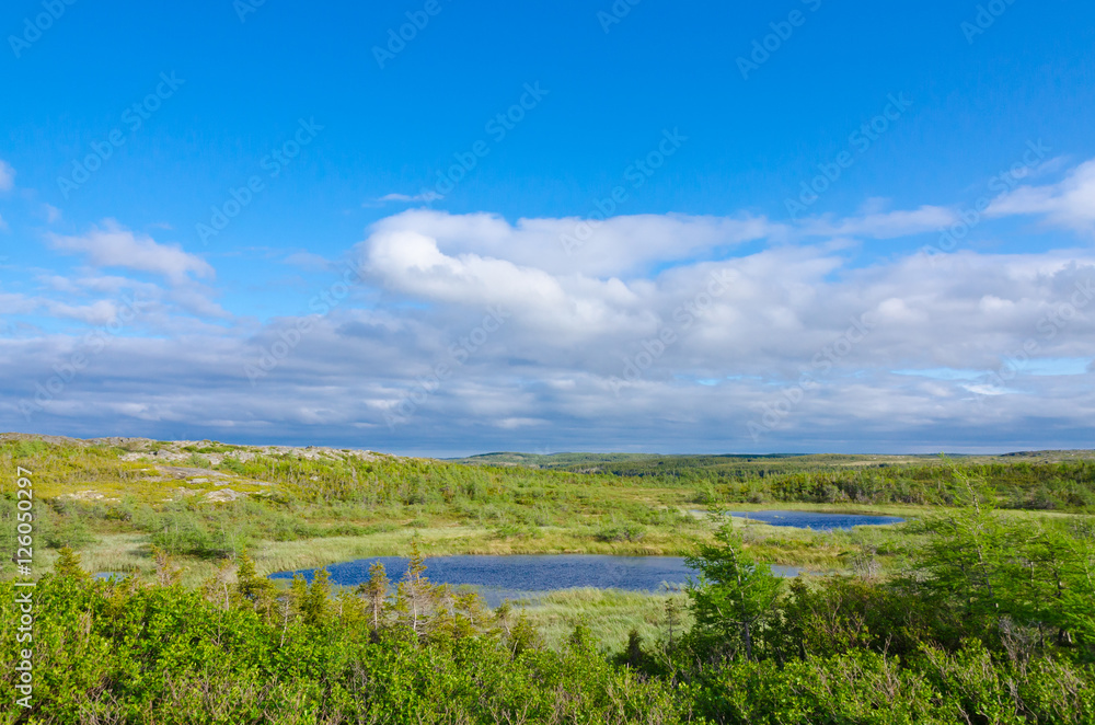 Lakes. trees and rocks under blue sky in north Newfoundland