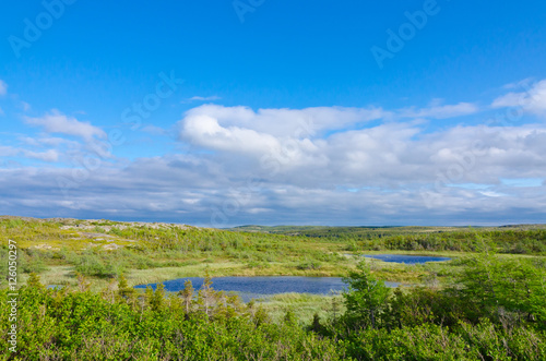 Lakes. trees and rocks under blue sky in north Newfoundland