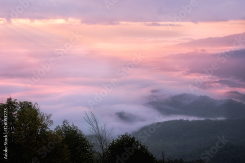 Fog in mountains. Fantasy and colorfull nature landscape. Nature conceptual image. © doidam10