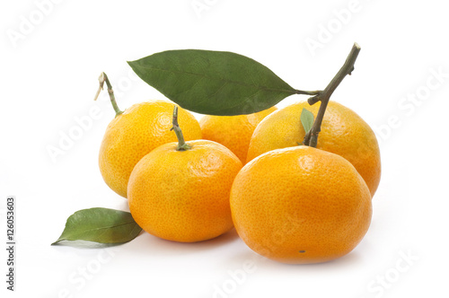 mandarin oranges with leaves on a white background