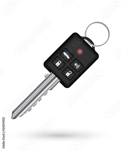 real remote car vehicle  key