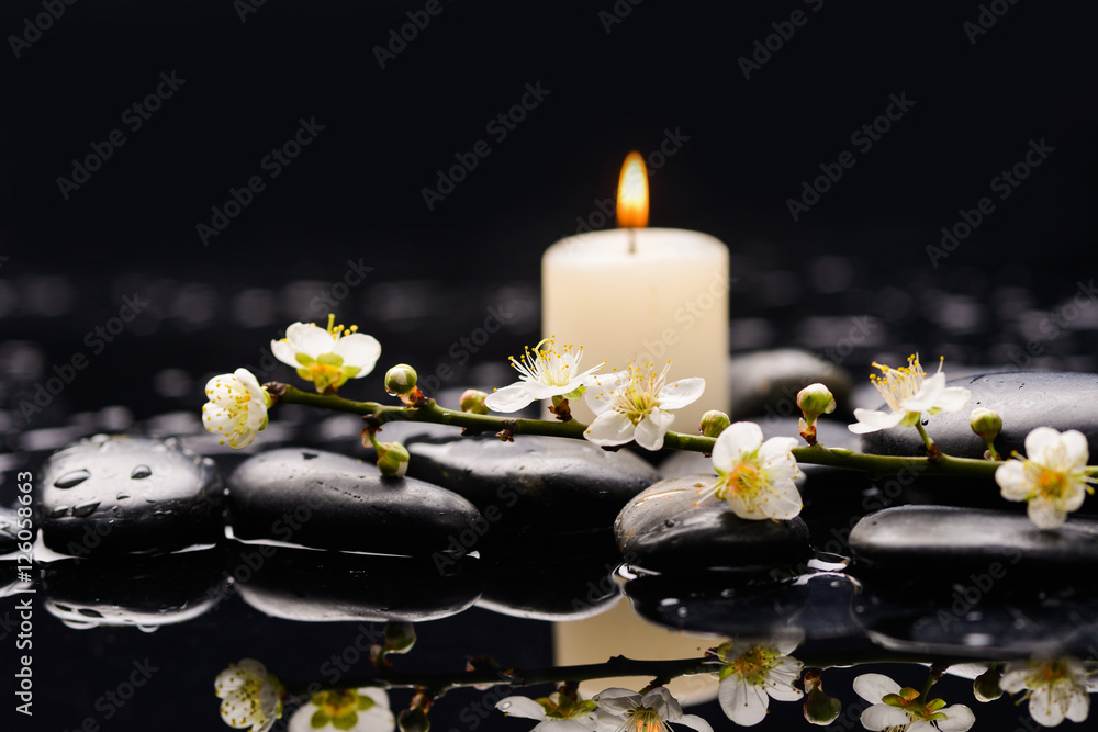 Spa Still life Spa Still life