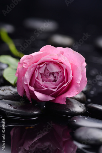 Still life with two pink rose with candle and therapy stones 